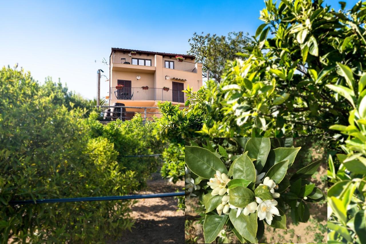 Parco Dei Templi Bed & Breakfast Agrigento Exterior foto